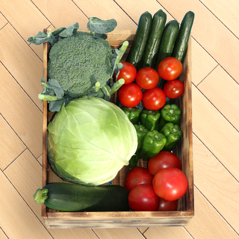 【数量限定】野菜の駅しのつセット